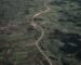 A vertical bird-eye shot of an endless road and green fields