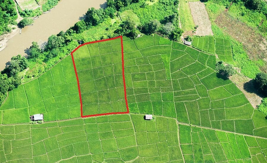 rice-paddy-fields-thailand-aerial-pete-atkinson-e1609273204544